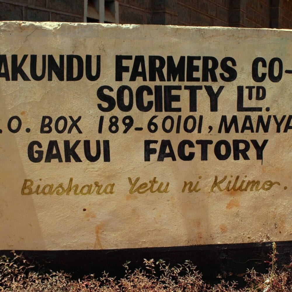 Gakui - Kenia
