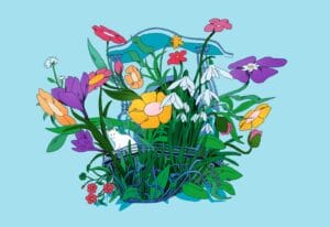 Fazenda Promissão - Brasilien