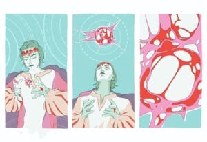 Ersayli Farm - Nicaragua