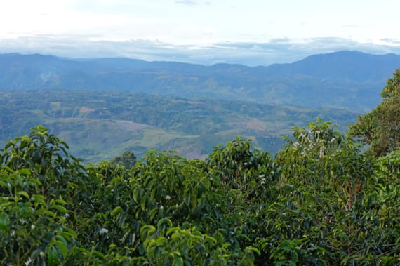 Villa Teresa – Colombia