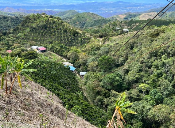 La Primavera Farm, Huila