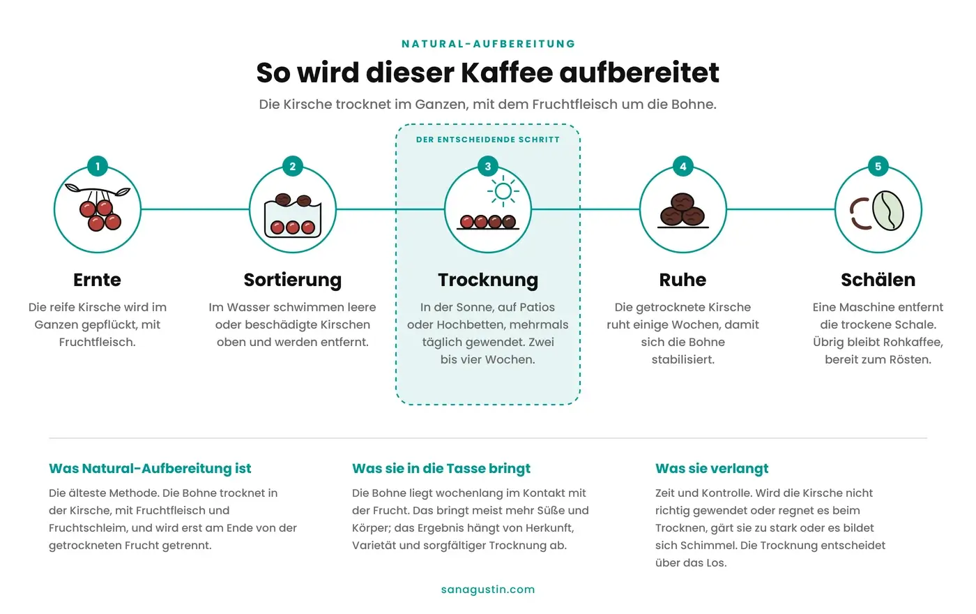 Infografik über den natürlichen Kaffeeprozess in fünf Schritten: Ernte der ganzen Kaffeekirsche, Selektion im Wasser, Sonnentrocknung für zwei bis vier Wochen, Ruhen und Schälen zur Gewinnung von Rohkaffee.